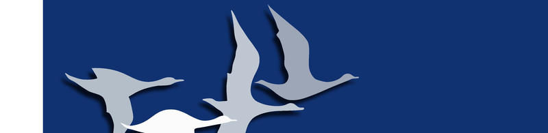 Teil1 Logo 50